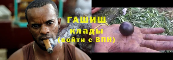 гидропоника Богданович