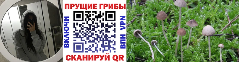 Псилоцибиновые грибы ЛСД  Тобольск 